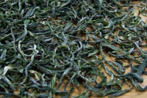 仙人掌茶市场价格多少钱一斤 仙人掌茶的功效与作用