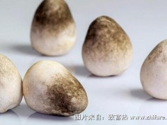 2017种草菇赚钱吗?2017种草菇前景及市场价格行情