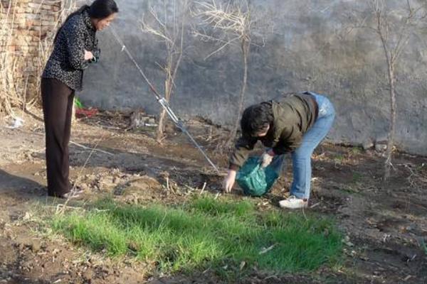 野菜哈拉海市场价格多少钱一斤 哈拉海产地在哪里