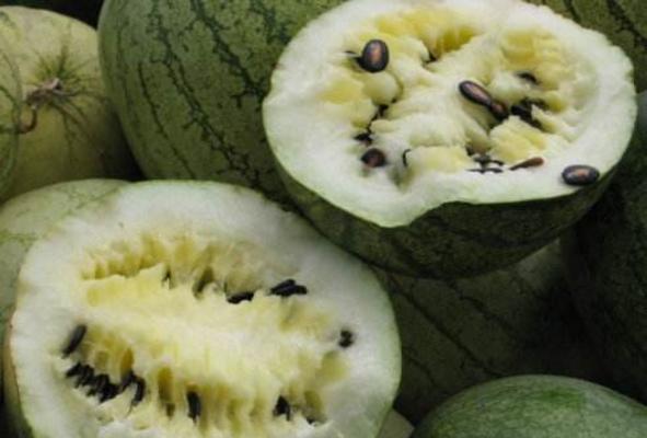 籽瓜的热量是多少 吃籽瓜会发胖吗