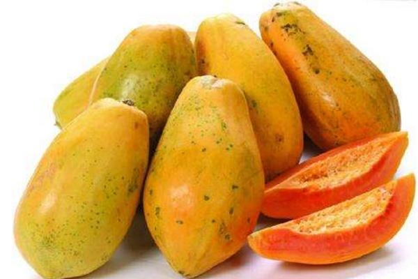 番木瓜的功效与作用及禁忌 番木瓜的营养价值