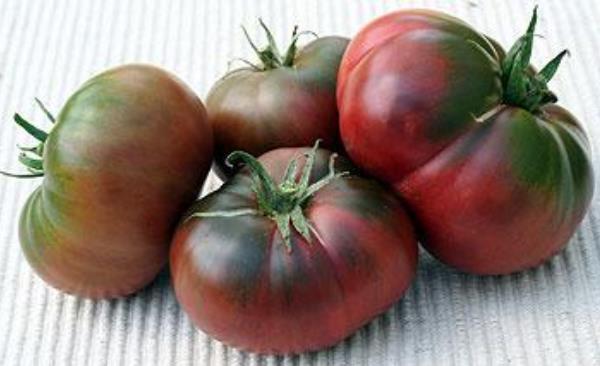 黑番茄的功效与作用及禁忌 黑番茄营养价值