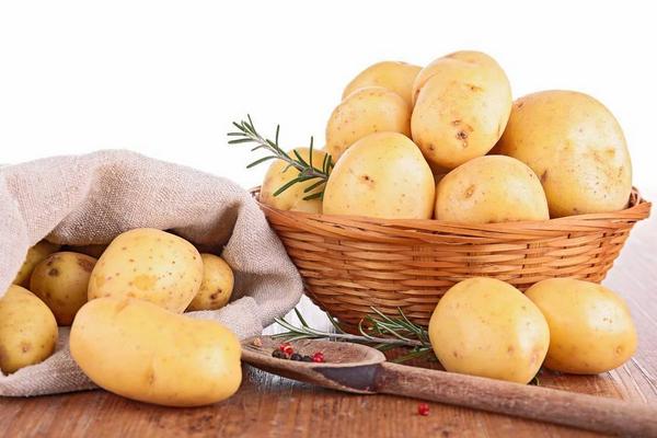 土豆品种大全 哪个土豆品种好