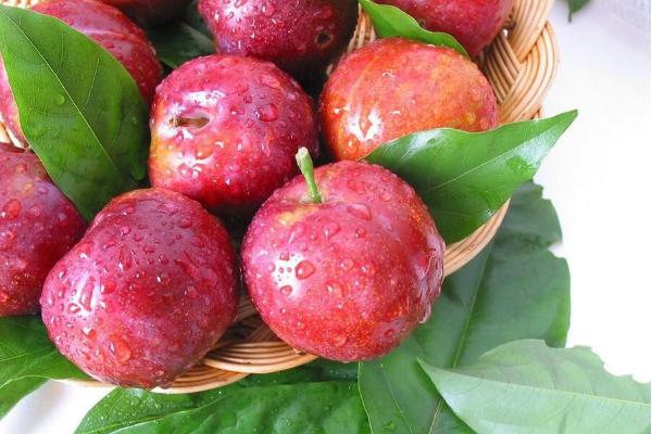 水果布朗市场价格多少钱一斤 水果布朗几月成熟上市