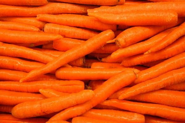 2018种胡萝卜赚钱吗？胡萝卜种植的利润与投资成本及前景预测