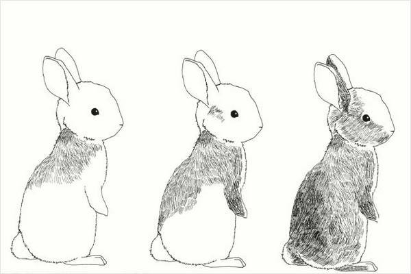 兔子简笔画怎么画步骤？兔子简笔画图片大全