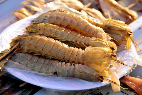 皮皮虾市场价格多少钱一斤 吃皮皮虾哪部位不能吃