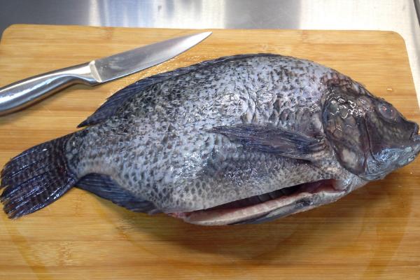 罗非鱼多少钱一斤