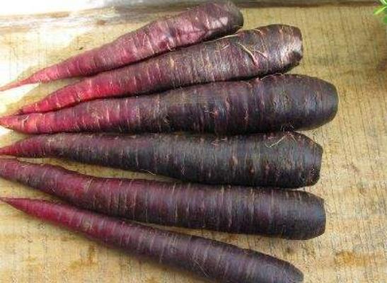 紫萝卜的功效与作用及禁忌 紫萝卜营养价值