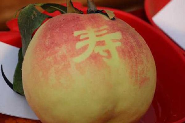 中华寿桃适合哪里种植