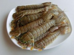 皮皮虾市场价格多少钱一斤,吃皮皮虾哪部位不能