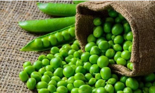 豌豆市场价格多少钱一斤 豌豆的做法