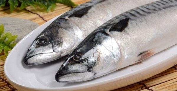 淡水银鳕鱼市场价格多少钱一斤 淡水银鳕鱼的挑选