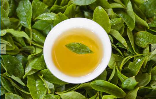 茶叶的品质鉴别 新茶和陈茶的分辨方法
