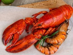 澳洲大龙虾市场价格多少钱一只,澳洲龙虾的营养