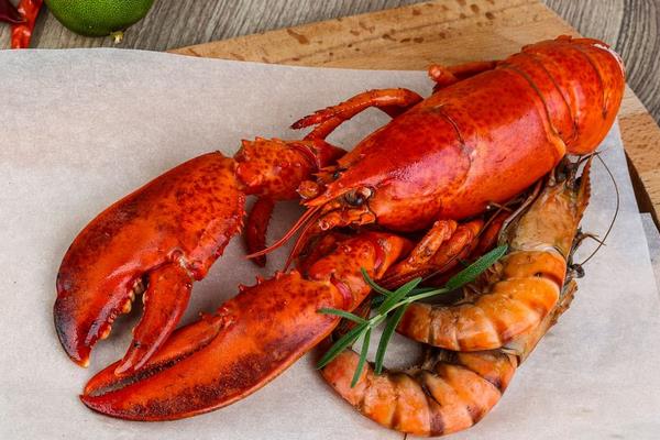 澳洲大龙虾市场价格多少钱一只 澳洲龙虾的营养价值