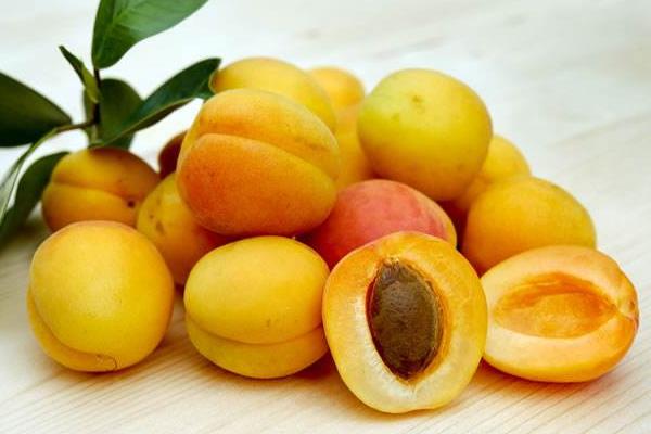 杏子的功效与作用及禁忌 杏子营养价值