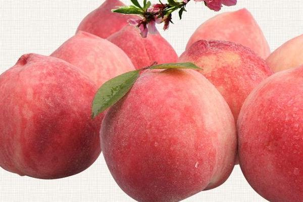 水蜜桃怎么种 水蜜桃种植方法与注意事项
