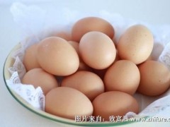 鸡蛋供需形势：成本下降,养殖利润可观
