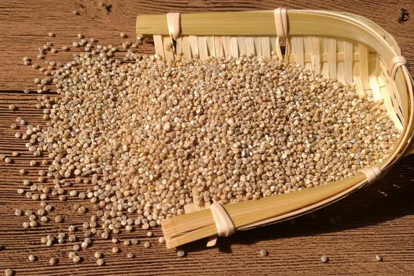 藜麦市场价格多少钱一斤 藜麦产地在哪里