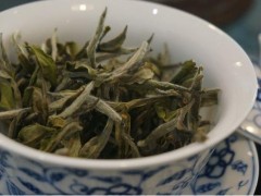 白茶市场价格多少钱一斤,白茶的泡法
