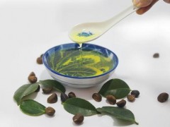 茶籽油的功效与作用,茶籽油怎么吃