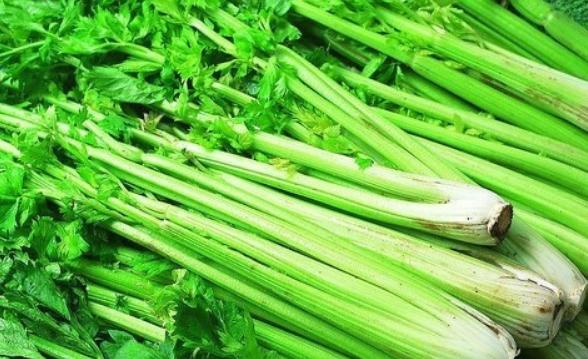 芹菜叶的功效与作用及禁忌 芹菜叶营养价值