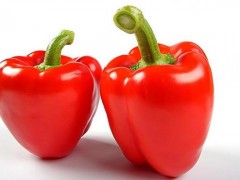 大辣椒价格多少钱一斤,大辣椒怎么种植