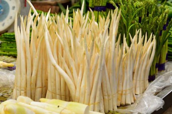 象牙菜是哪里盛产的 象牙菜海南可以种植吗