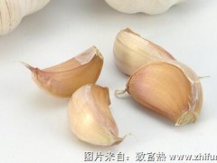 全国大蒜种植时间