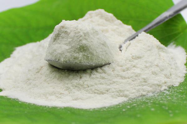 茯苓粉的功效与作用及禁忌 茯苓粉的吃法