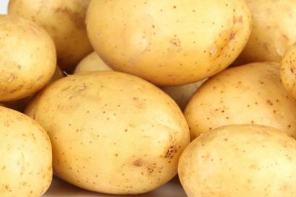 大棚土豆种植技术