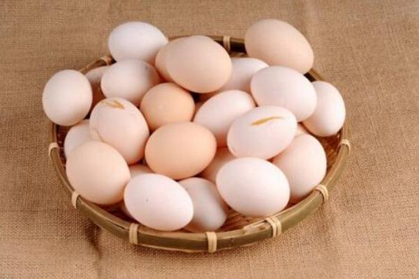 散养鸡蛋市场价格多少钱一斤 散养鸡吃什么产蛋多