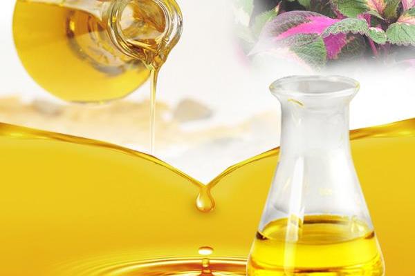 紫苏籽油的功效与作用及禁忌 紫苏油口服方法