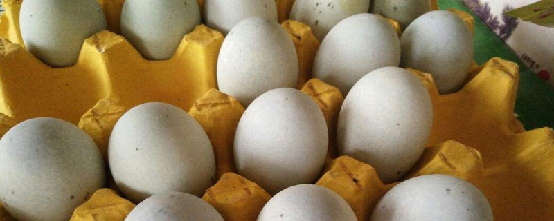 皮蛋市场价格多少钱一个 皮蛋是哪里的特产