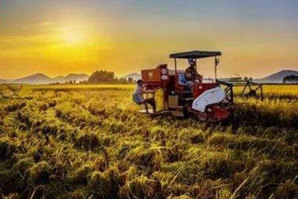 农业合作社成立条件 2018农业合作社补贴政策