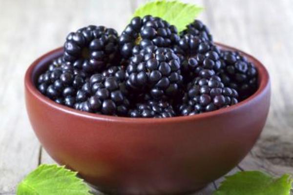 黑莓酒功效与作用及禁忌 黑莓酒怎么做