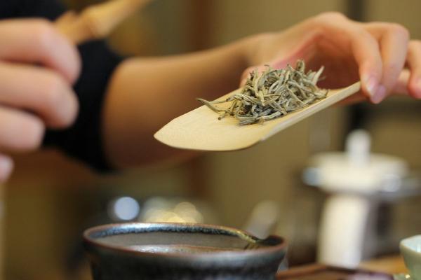 仙人掌茶市场价格多少钱一斤 仙人掌茶的功效与作用