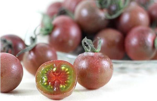 黑番茄的功效与作用及禁忌 黑番茄营养价值