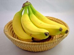 香蕉枯萎病的症状及防治方法,香蕉的栽培技术