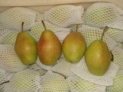 红香酥梨市场价格多少钱一斤,红香酥梨产地在哪