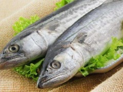 鲅鱼功效与作用及禁忌,鲅鱼营养价值