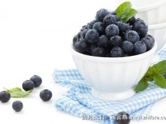 蓝莓功效与作用及禁忌