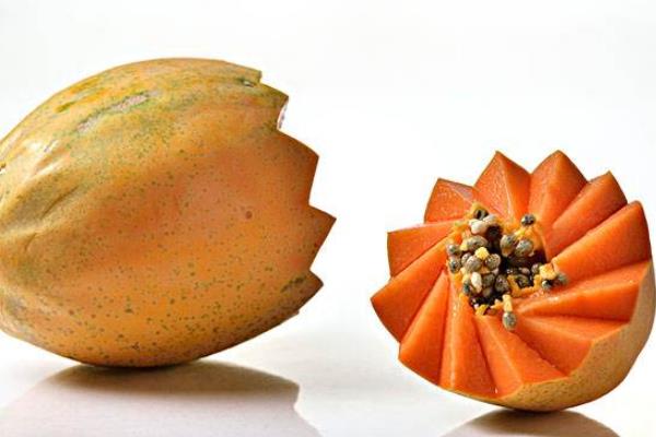 木瓜籽的功效与作用及禁忌