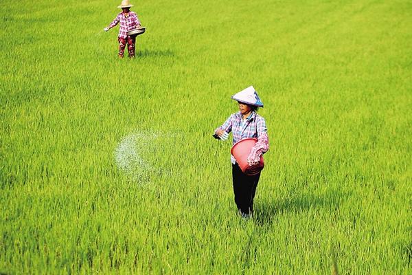 水稻复合肥哪种比较好 水稻追肥的最佳时间