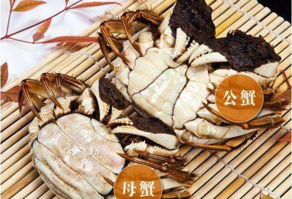 螃蟹市场价格多少钱一斤 螃蟹几月份最好吃
