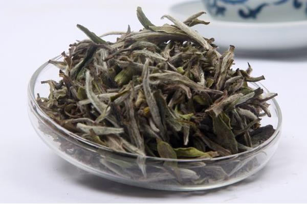 白牡丹茶市场价格多少钱一斤 白牡丹茶是花茶还是白茶
