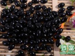 蜂胶的营养价值和功效,孕妇能否食用蜂胶
