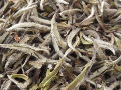 白牡丹茶市场价格多少钱一斤,白牡丹茶是花茶还