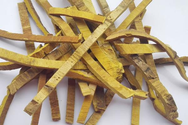 黄柏树皮市场价格多少钱一斤 黄柏树皮的作用与功效